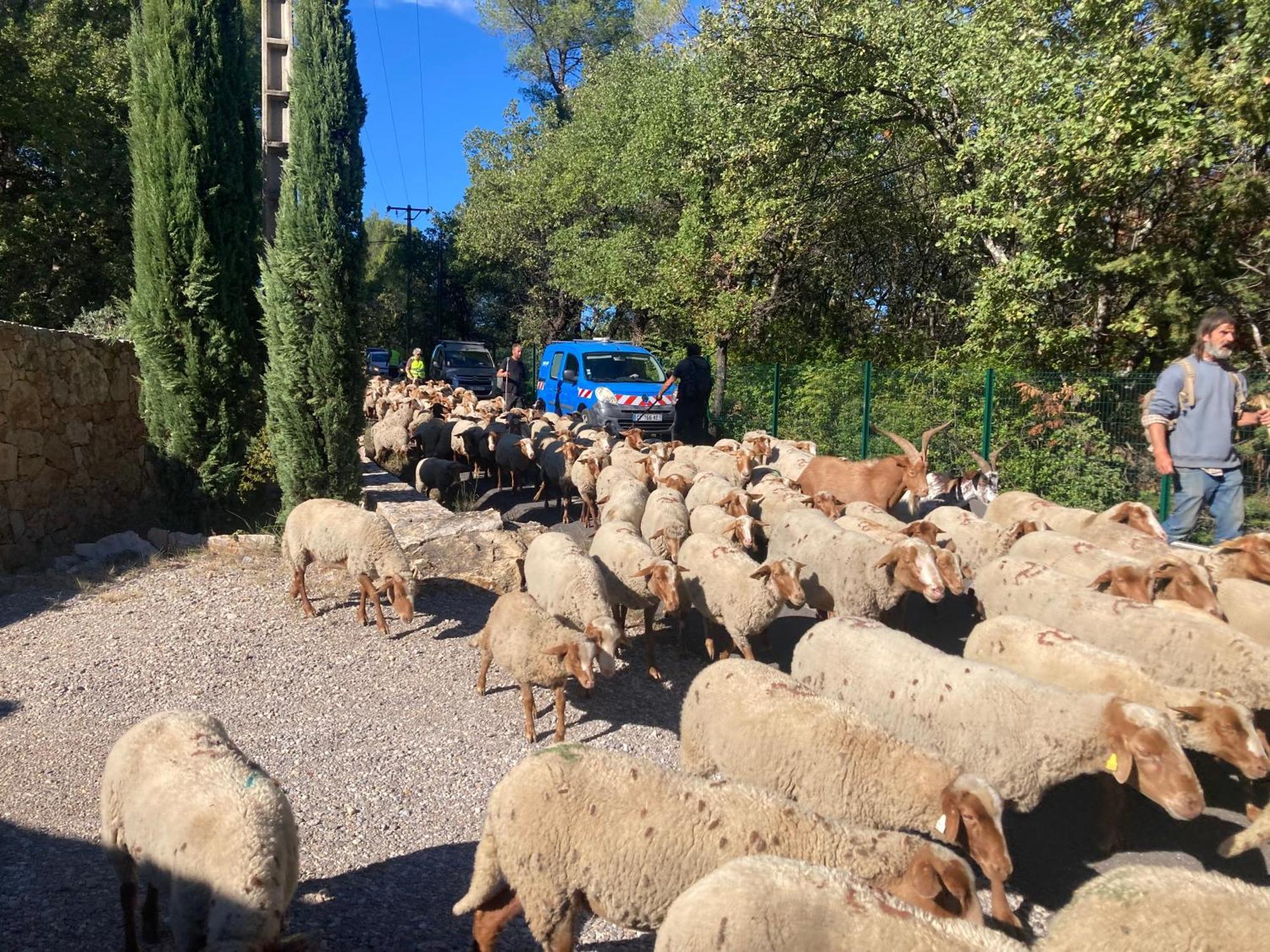 gite Le Mas des Oliviers Draguignan Extérieur photo