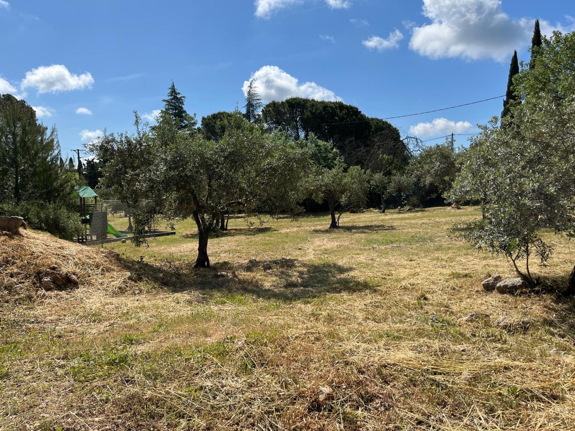 gite Le Mas des Oliviers Draguignan Extérieur photo