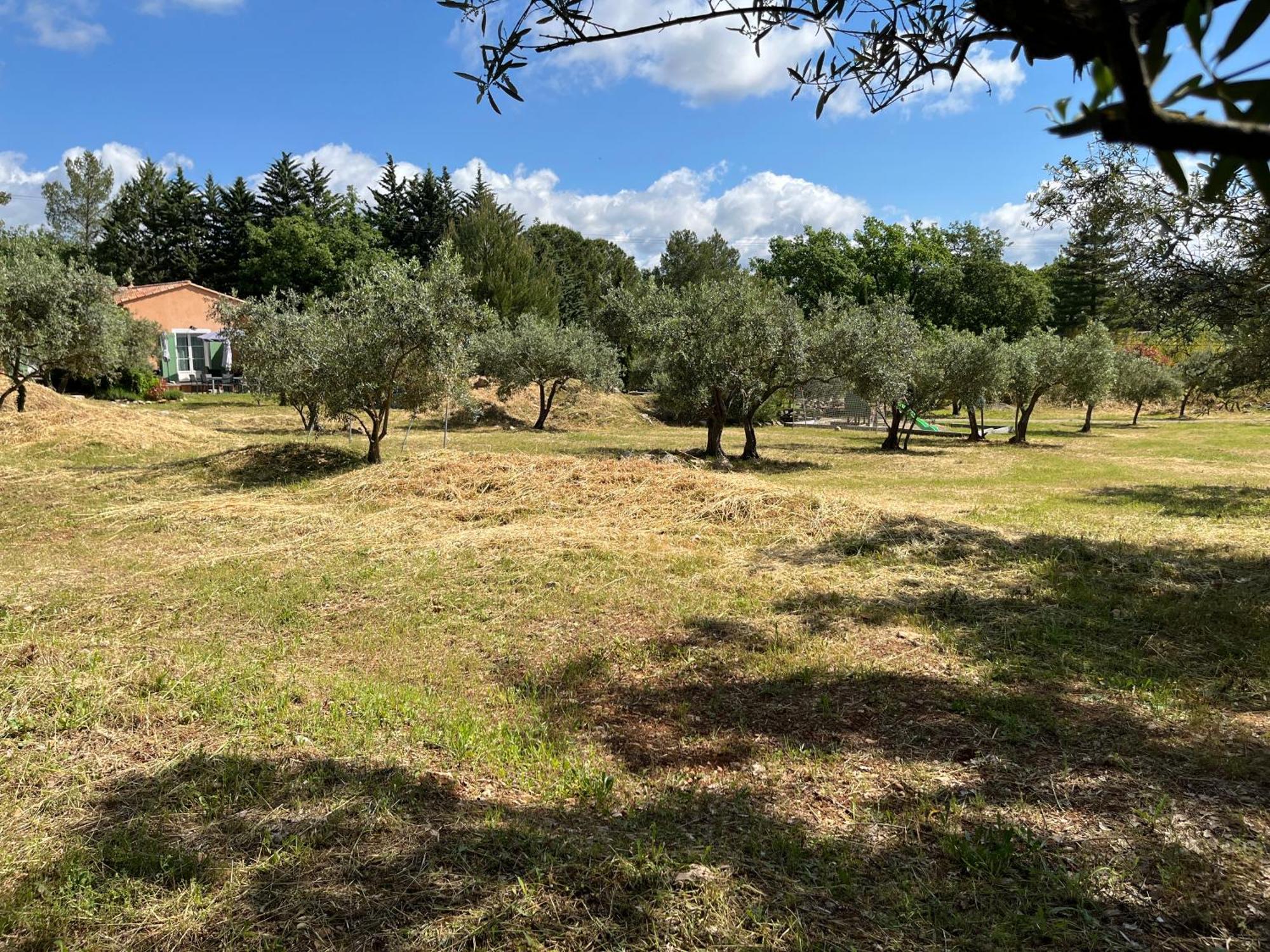 gite Le Mas des Oliviers Draguignan Extérieur photo